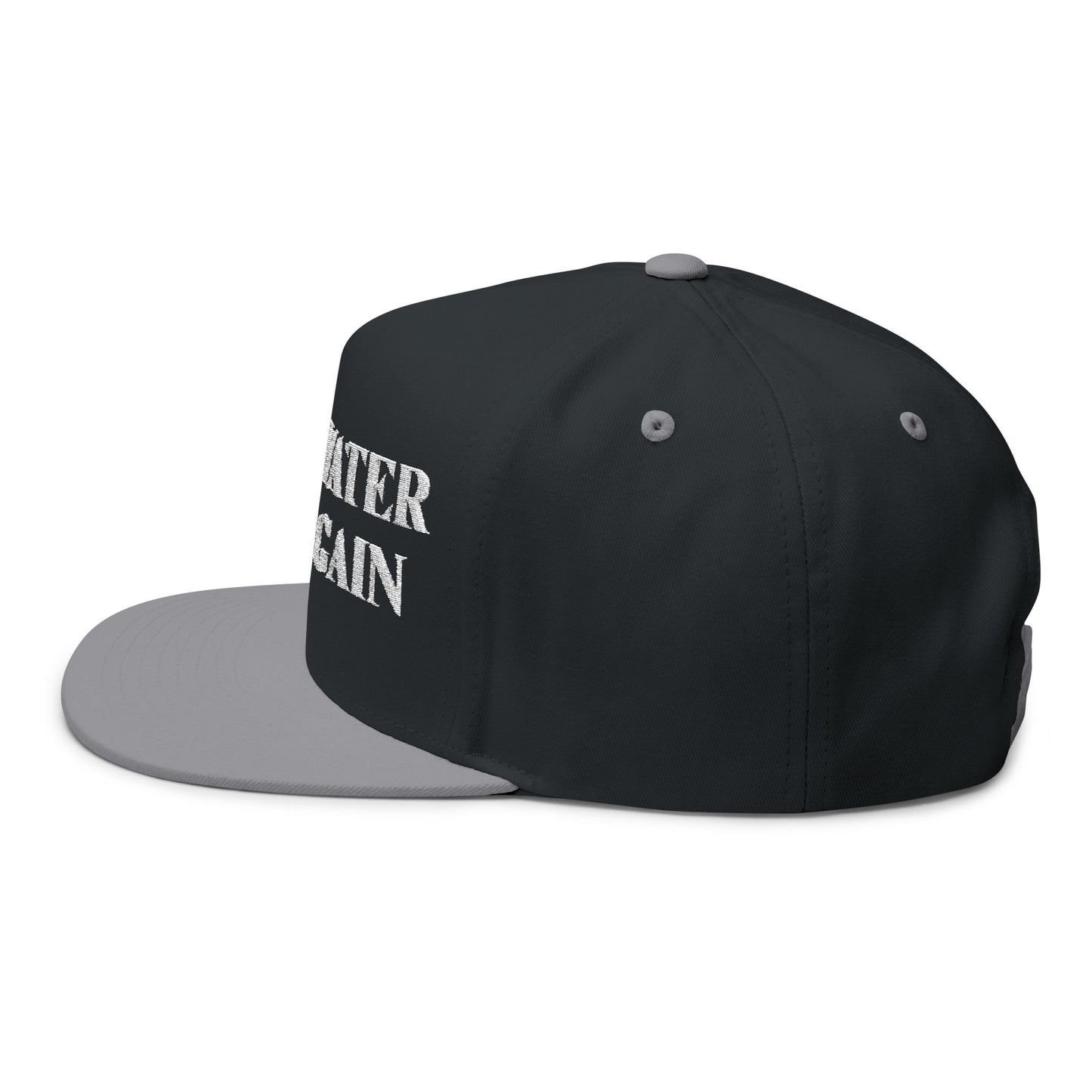 Make Water Safe Again – Embroidered Flat Bill Hat