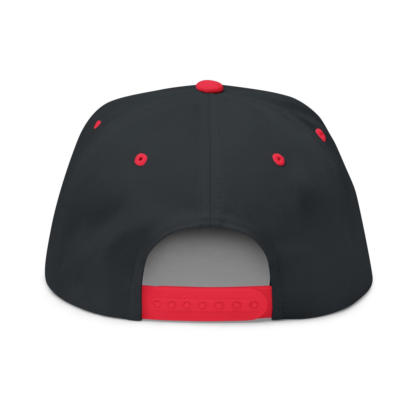 Make Water Safe Again – Embroidered Flat Bill Hat