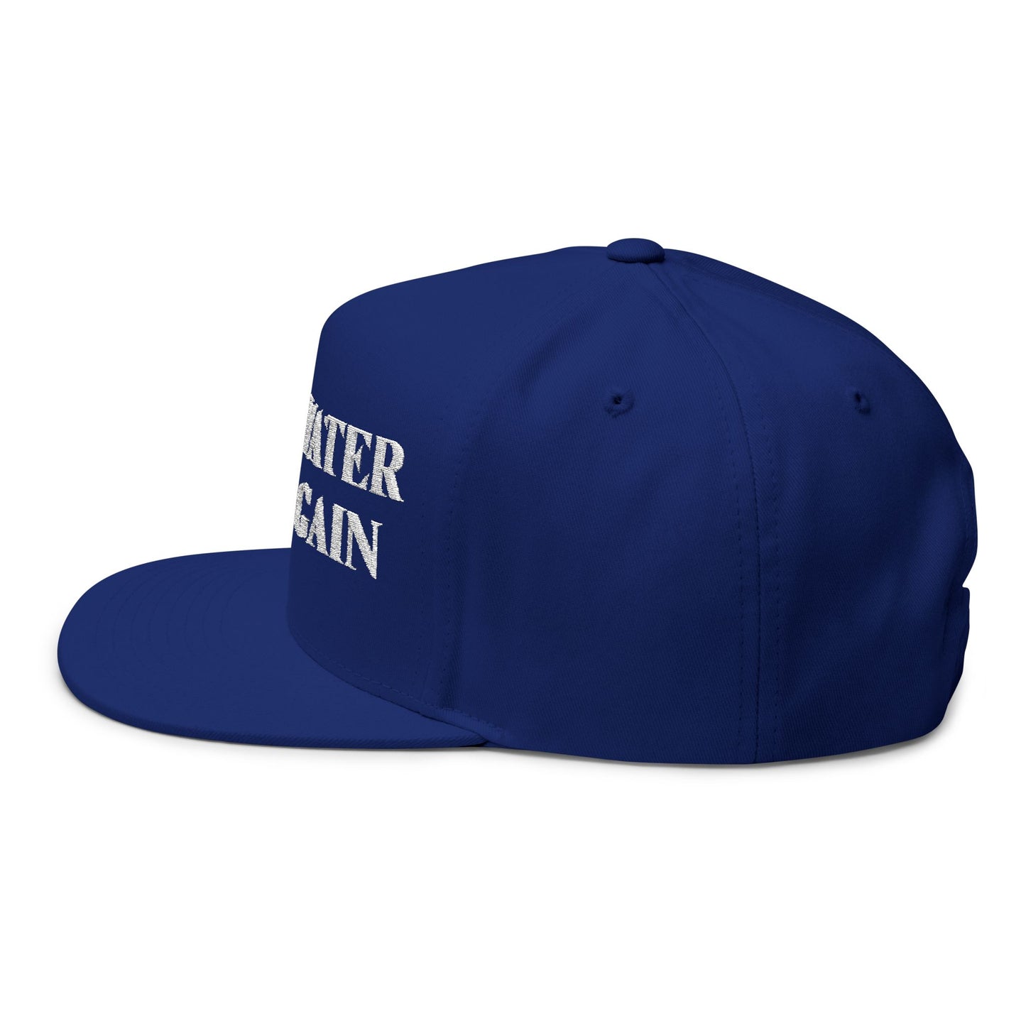 Make Water Safe Again – Embroidered Flat Bill Hat