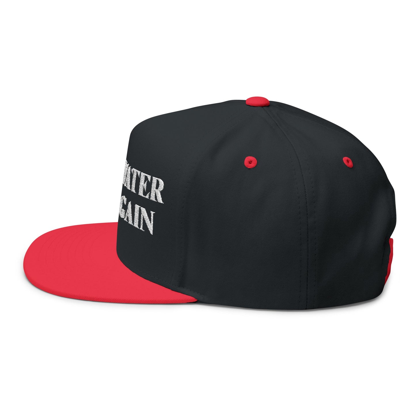 Make Water Safe Again – Embroidered Flat Bill Hat