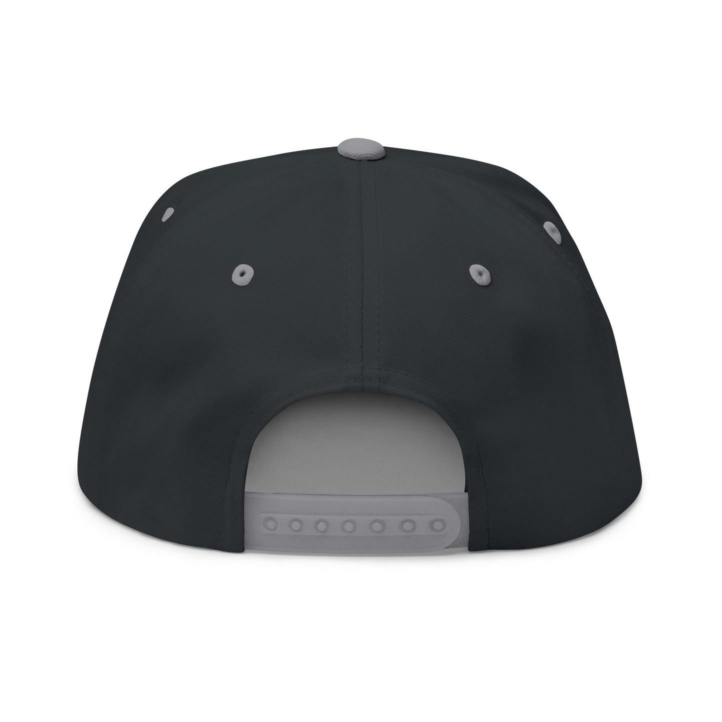 Make Water Safe Again – Embroidered Flat Bill Hat