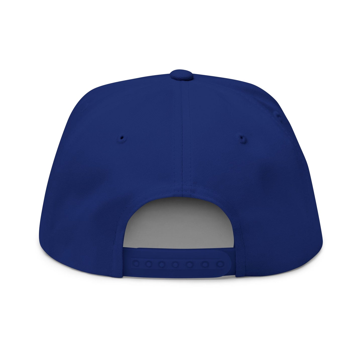 Make Water Safe Again – Embroidered Flat Bill Hat