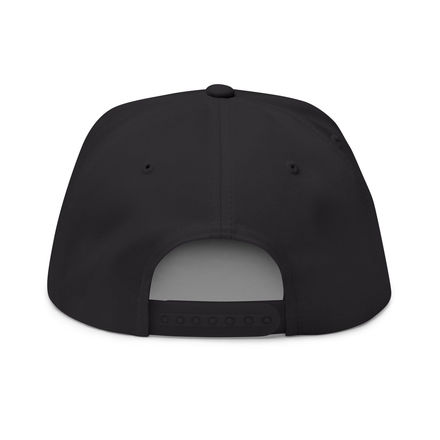 Make Water Safe Again – Embroidered Flat Bill Hat
