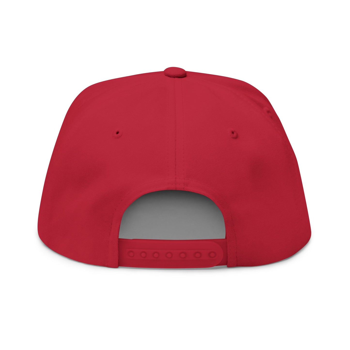 Make Water Safe Again – Embroidered Flat Bill Hat