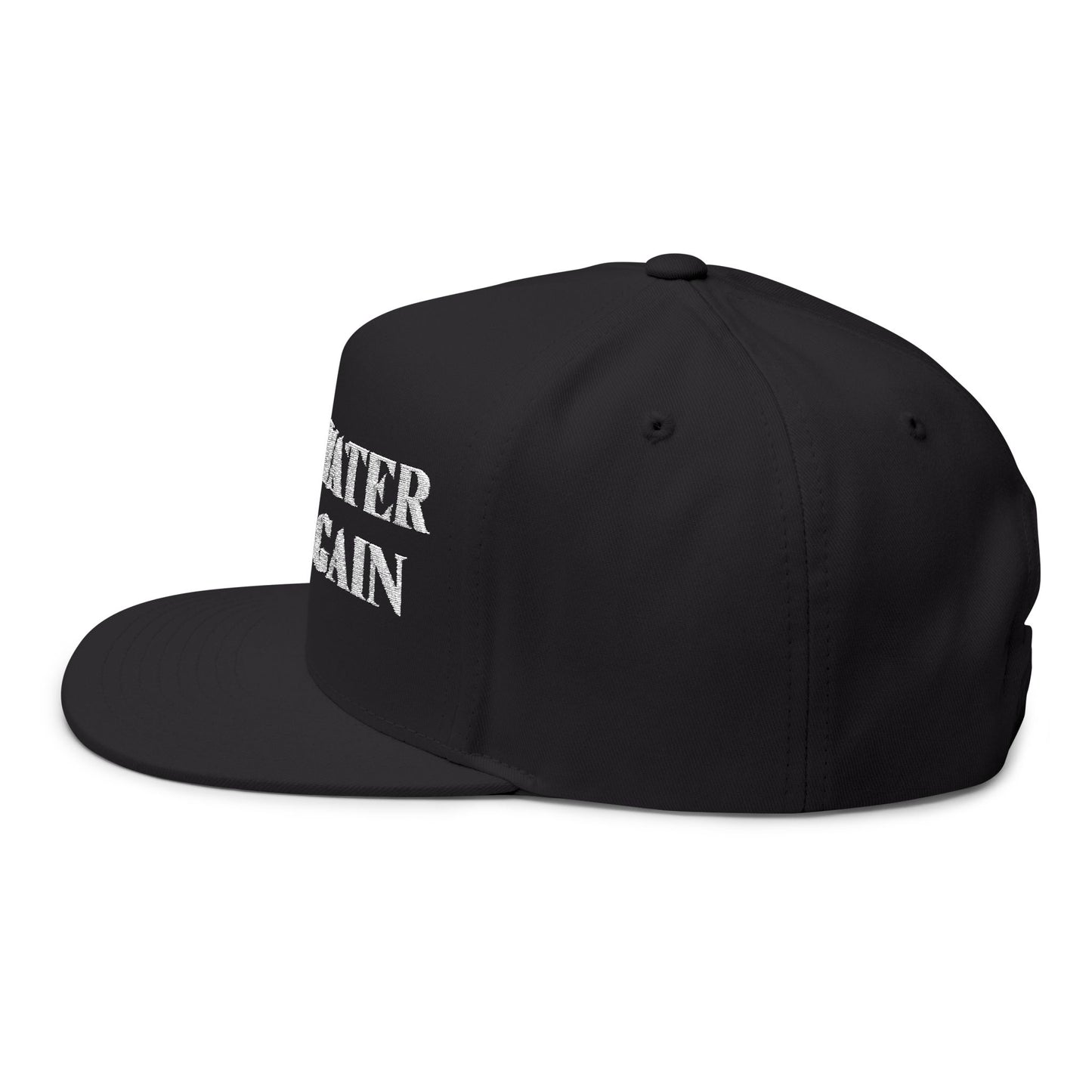 Make Water Safe Again – Embroidered Flat Bill Hat