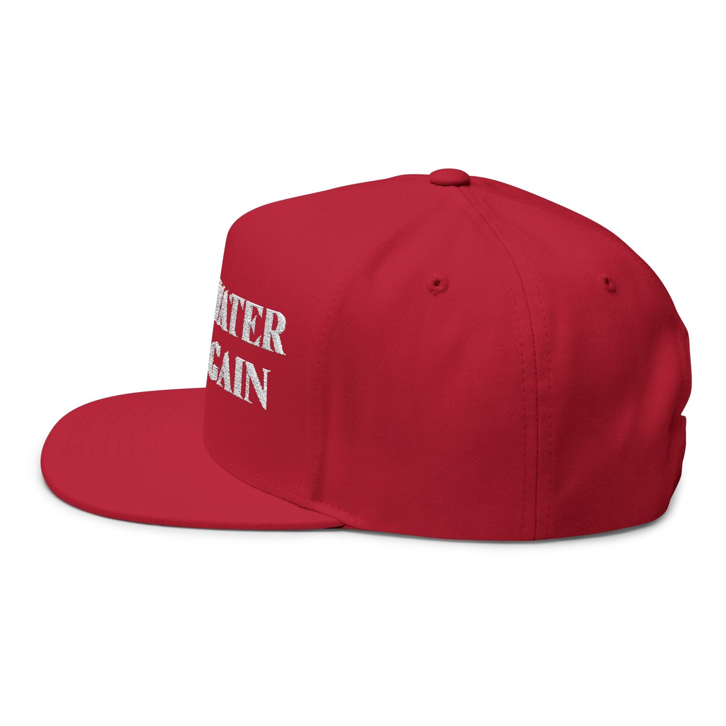 Make Water Safe Again – Embroidered Flat Bill Hat